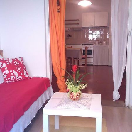 Apartment Bela Novigrad  Luaran gambar